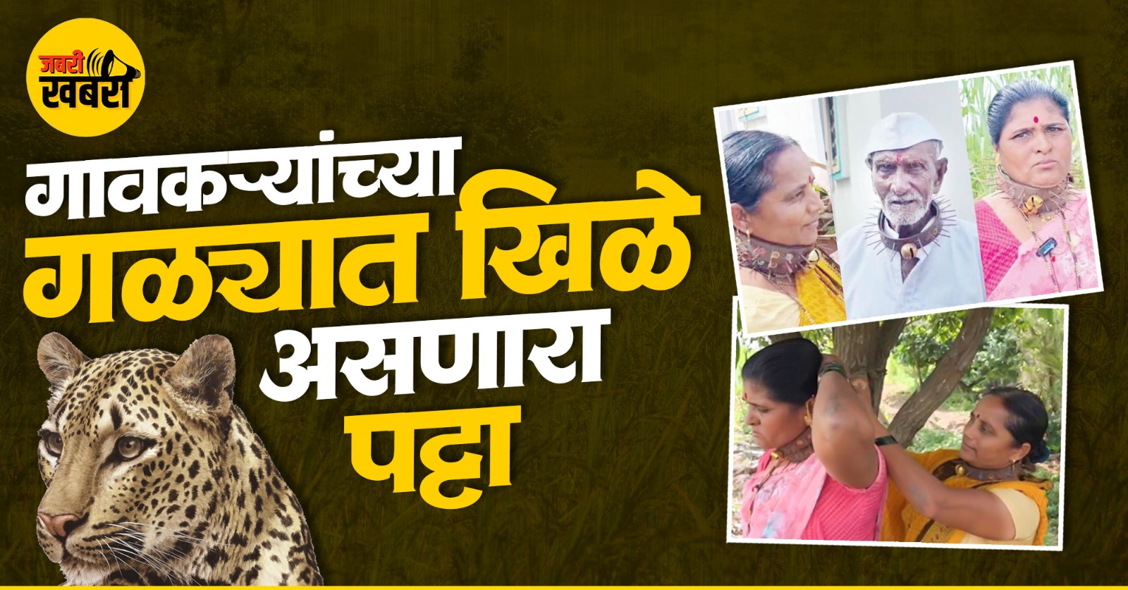 Leopard Attacks in Pimparkhed village.